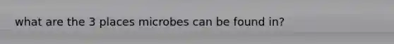 what are the 3 places microbes can be found in?