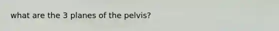 what are the 3 planes of the pelvis?