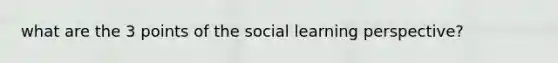 what are the 3 points of the social learning perspective?