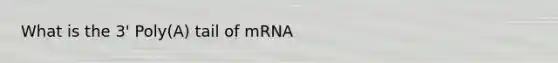 What is the 3' Poly(A) tail of mRNA