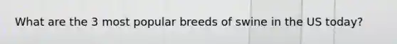 What are the 3 most popular breeds of swine in the US today?