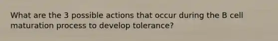 What are the 3 possible actions that occur during the B cell maturation process to develop tolerance?