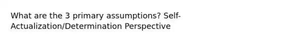 What are the 3 primary assumptions? Self-Actualization/Determination Perspective