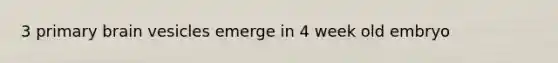 3 primary brain vesicles emerge in 4 week old embryo