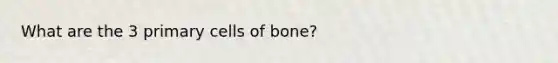 What are the 3 primary cells of bone?