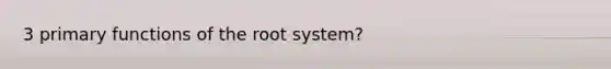 3 primary functions of the root system?