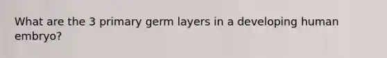 What are the 3 primary germ layers in a developing human embryo?