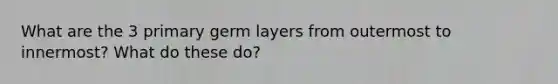 What are the 3 primary germ layers from outermost to innermost? What do these do?