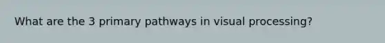 What are the 3 primary pathways in visual processing?