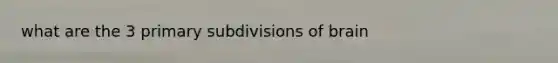 what are the 3 primary subdivisions of brain