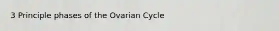 3 Principle phases of the Ovarian Cycle