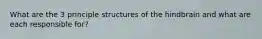 What are the 3 principle structures of the hindbrain and what are each responsible for?
