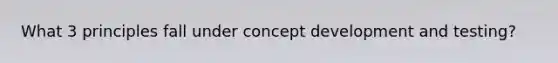 What 3 principles fall under concept development and testing?