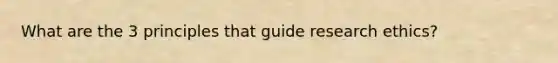 What are the 3 principles that guide research ethics?