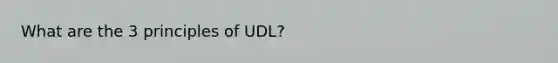 What are the 3 principles of UDL?