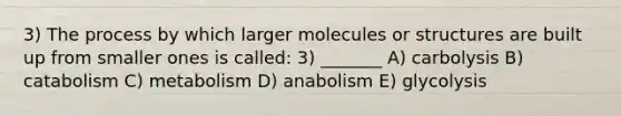 3) The process by which larger molecules or structures are built up from smaller ones is called: 3) _______ A) carbolysis B) catabolism C) metabolism D) anabolism E) glycolysis