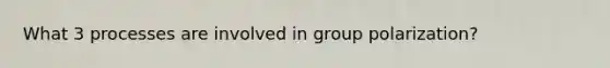 What 3 processes are involved in group polarization?