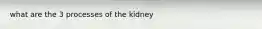 what are the 3 processes of the kidney