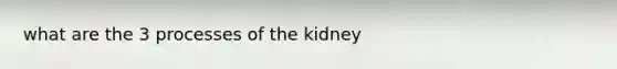 what are the 3 processes of the kidney