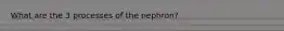 What are the 3 processes of the nephron?