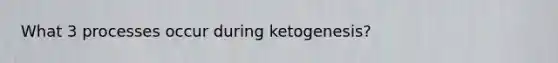 What 3 processes occur during ketogenesis?