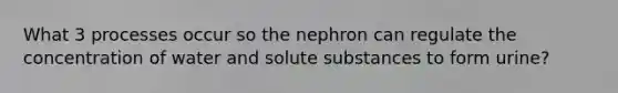 What 3 processes occur so the nephron can regulate the concentration of water and solute substances to form urine?