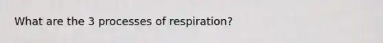 What are the 3 processes of respiration?