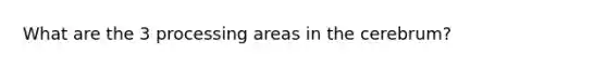 What are the 3 processing areas in the cerebrum?