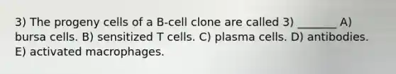 3) The progeny cells of a B-cell clone are called 3) _______ A) bursa cells. B) sensitized T cells. C) plasma cells. D) antibodies. E) activated macrophages.