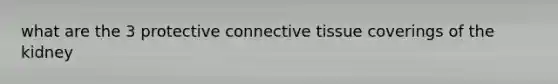 what are the 3 protective <a href='https://www.questionai.com/knowledge/kYDr0DHyc8-connective-tissue' class='anchor-knowledge'>connective tissue</a> coverings of the kidney