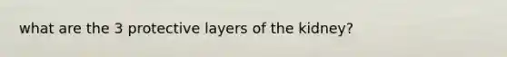 what are the 3 protective layers of the kidney?