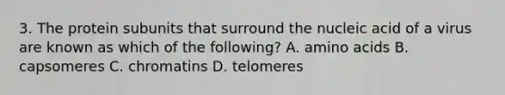 3. The protein subunits that surround the nucleic acid of a virus are known as which of the following? A. amino acids B. capsomeres C. chromatins D. telomeres