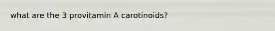 what are the 3 provitamin A carotinoids?