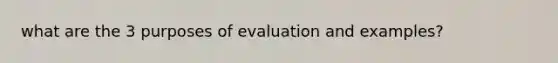 what are the 3 purposes of evaluation and examples?