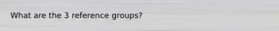 What are the 3 reference groups?