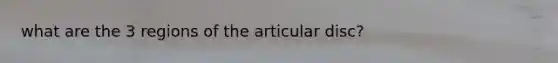 what are the 3 regions of the articular disc?