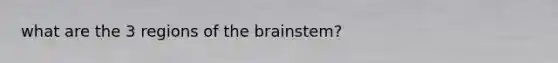 what are the 3 regions of the brainstem?