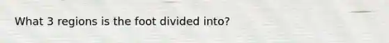 What 3 regions is the foot divided into?