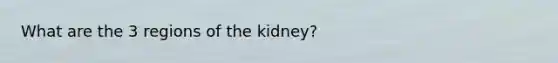 What are the 3 regions of the kidney?