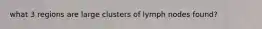 what 3 regions are large clusters of lymph nodes found?