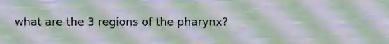 what are the 3 regions of the pharynx?