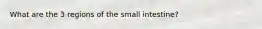 What are the 3 regions of the small intestine?