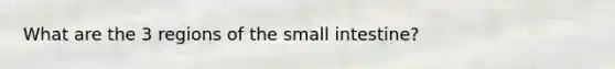 What are the 3 regions of the small intestine?