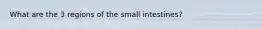 What are the 3 regions of the small intestines?