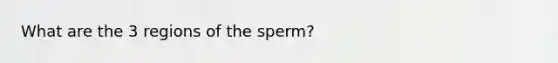 What are the 3 regions of the sperm?