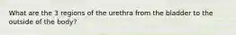 What are the 3 regions of the urethra from the bladder to the outside of the body?