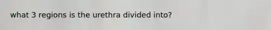 what 3 regions is the urethra divided into?