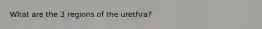 What are the 3 regions of the urethra?