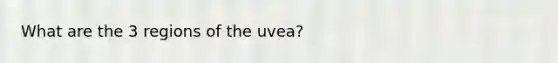 What are the 3 regions of the uvea?