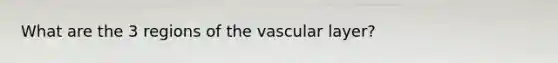 What are the 3 regions of the vascular layer?